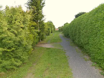 AreaSummer1KM