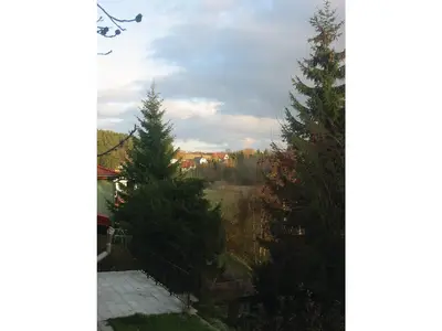 view-from-room