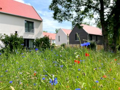 Ferienhaus für 8 Personen in Gunzenhausen 4/10