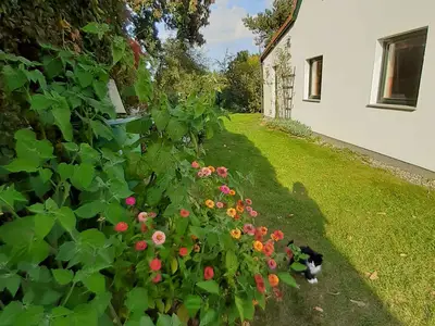 Ferienhaus für 4 Personen (65 m²) in Gustow 5/10
