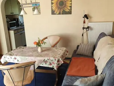 Ferienhaus für 3 Personen (50 m²) in Güstrow 8/10