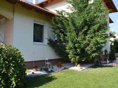 Ferienhaus für 6 Personen (77 m²) in Gyenesdiás 5/10