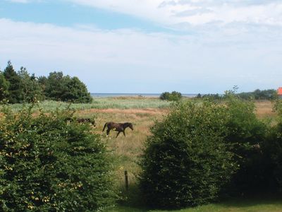 view-from-room