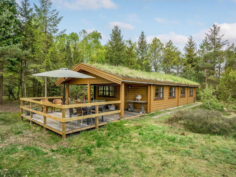 23745709-Ferienhaus-6-Hadsund-800x600-0