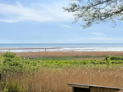 view-from-room