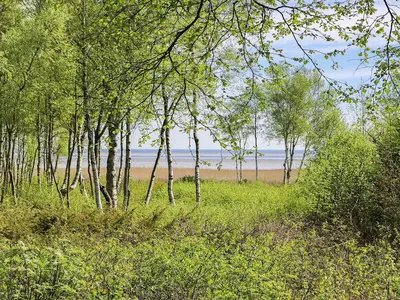 WaterView