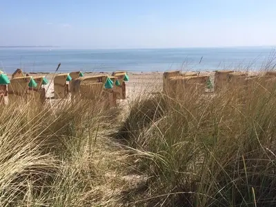 Ferienhaus für 6 Personen (65 m²) in Haffkrug 6/6