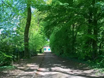 Ferienhaus für 3 Personen (85 m²) in Hagen im Bremischen 9/10