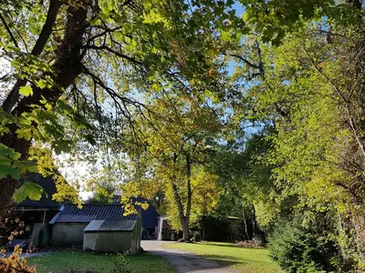 Ferienhaus für 3 Personen (85 m²) in Hagen im Bremischen 10/10