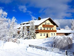 22001093-Ferienhaus-40-Haidmühle-300x225-1