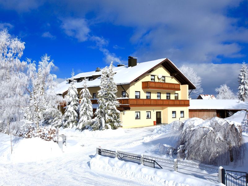 22001093-Ferienhaus-40-Haidmühle-800x600-1