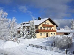 24044369-Ferienhaus-60-Haidmühle-300x225-3