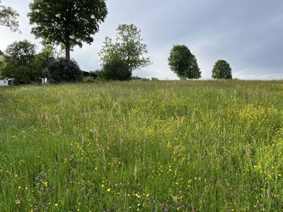 Ferienhaus für 4 Personen (55 m²) in Haidmühle 4/10