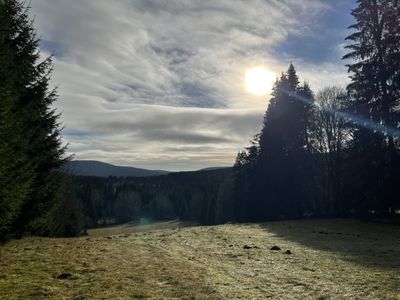 Ferienhaus für 4 Personen (55 m²) in Haidmühle 6/10