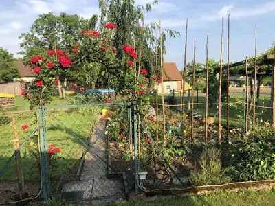 Ferienhaus für 6 Personen (70 m²) in Halbenrain 5/10
