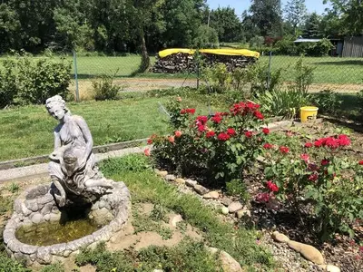 Ferienhaus für 6 Personen (70 m²) in Halbenrain 6/10