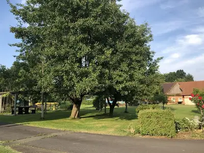 Ferienhaus für 6 Personen (70 m²) in Halbenrain 7/10