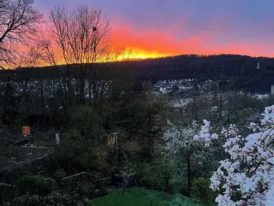 Ferienhaus für 4 Personen (110 m²) in Hannoversch Münden 9/10