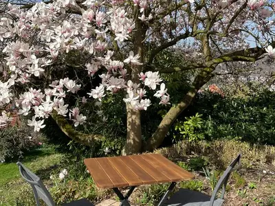 Ferienhaus für 4 Personen (110 m²) in Hannoversch Münden 10/10