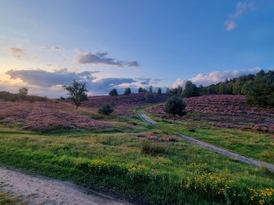 Weseler Heide