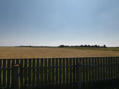 view-from-room