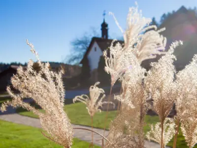 tischneck-chalets-hardt-blick-auf-die-familienkapelle
