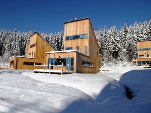 Ferienhaus für 10 Personen (120 m²) in Harrachov (Semily)