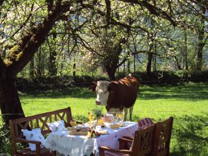 23519913-Ferienhaus-7-Hart im Zillertal-300x225-2