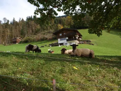 Bild 7