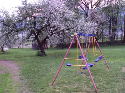 Garten. Gartenanlage mit Schaukel