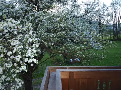 Balkon. im Frühling
