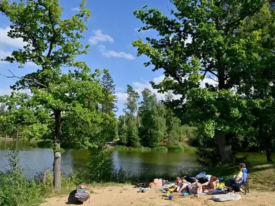 Ferienhaus für 6 Personen (30 m²) in Harzgerode 1/10