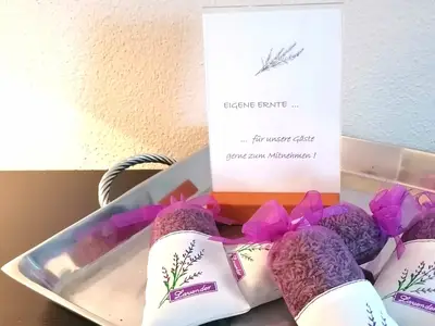 Ferienhaus für 4 Personen (65 m²) in Haselbachtal 8/10