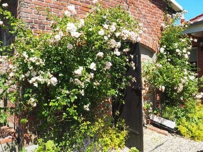 Ferienhaus für 4 Personen (90 m²) in Hasselberg 9/10