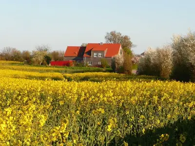 Ferienhaus für 6 Personen (140 m²) in Hasselberg 6/10