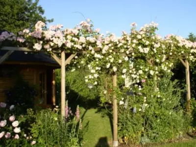 Ferienhaus für 5 Personen (63 m²) in Hasselberg 4/10