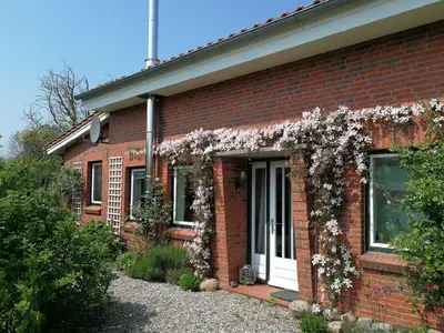 Ferienhaus für 4 Personen (90 m²) in Hasselberg 2/10