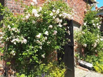 Ferienhaus für 4 Personen (90 m²) in Hasselberg 5/10