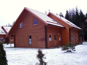 Ferienhaus für 6 Personen (65 m²) in Hasselfelde