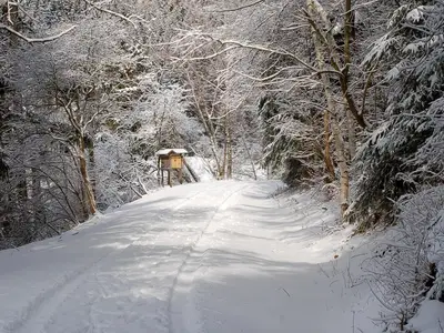 AreaWinter5KM