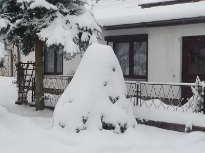 Ferienhaus für 6 Personen (60 m²) in Hasselfelde 4/10