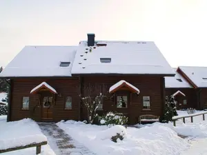 Ferienhaus für 5 Personen (64 m²) in Hasselfelde