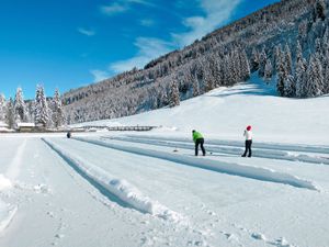 23859671-Ferienhaus-8-Haus (Steiermark)-300x225-5