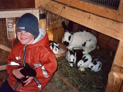 Ferienhaus für 4 Personen (70 m²) in Haus (Steiermark) 8/10