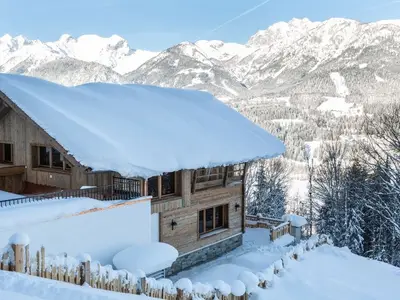 Ferienhaus für 6 Personen (115 m²) in Haus (Steiermark) 3/10