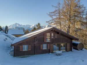 22018547-Ferienhaus-8-Haute-Nendaz-300x225-5