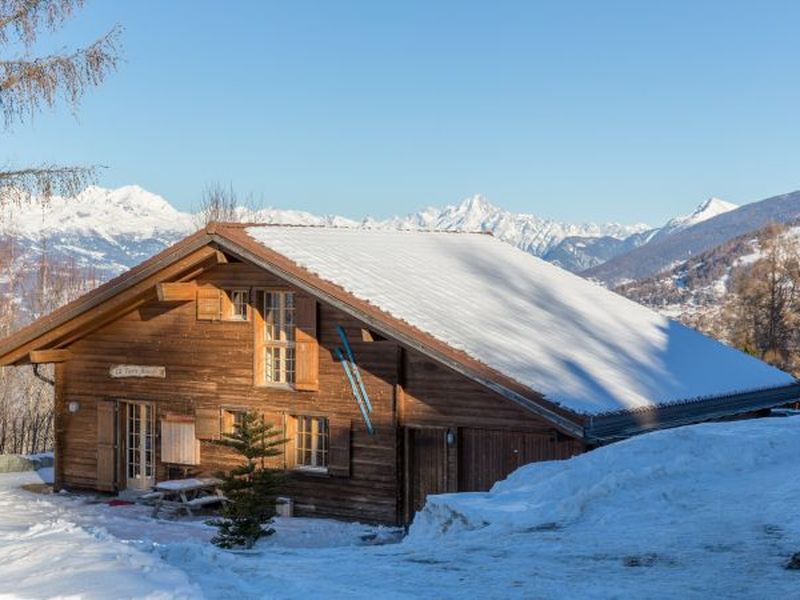 22018547-Ferienhaus-8-Haute-Nendaz-800x600-2