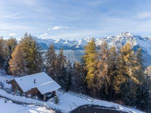 22130385-Ferienhaus-6-Haute-Nendaz-300x225-5