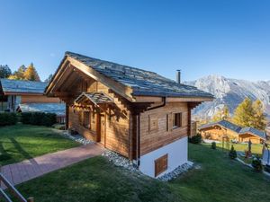 22130383-Ferienhaus-8-Haute-Nendaz-300x225-4