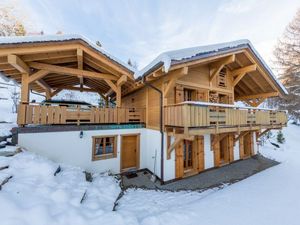 22130385-Ferienhaus-6-Haute-Nendaz-300x225-2